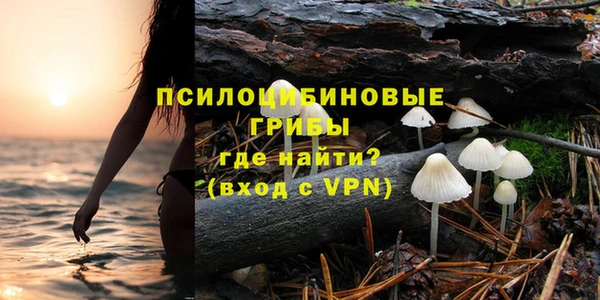 спайс Пролетарск