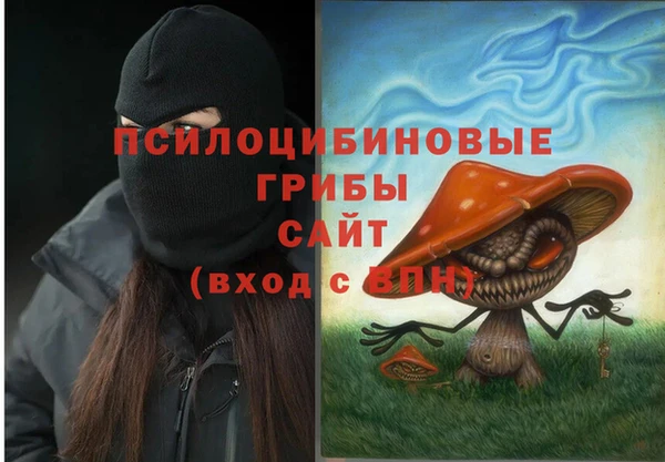 тгк Протвино