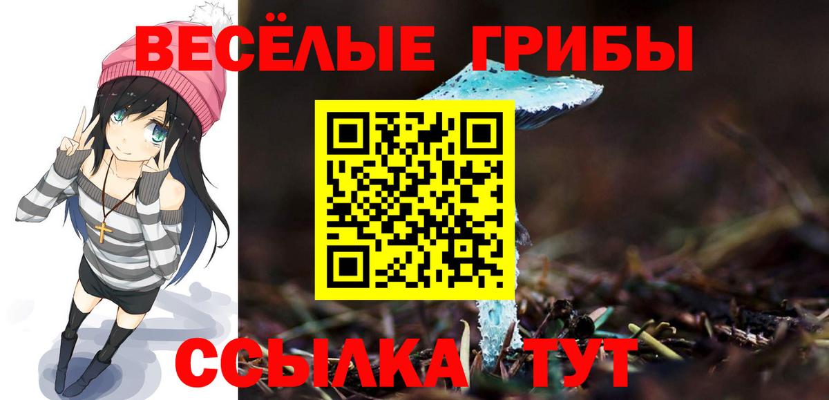 Псилоцибиновые грибы Psilocybine cubensis  Псилоцибиновые грибы Psilocybe  Вход с VPN  Урюпинск 