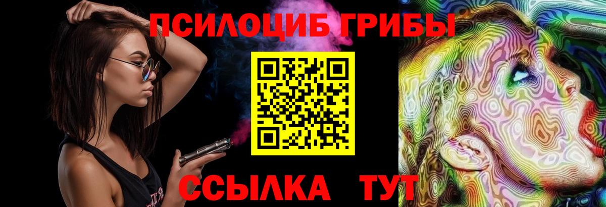 Псилоцибиновые грибы мицелий Урюпинск
